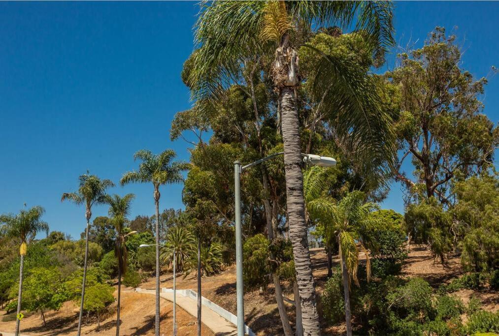 Cozy Studio Next To San Diego Dt And Balboa Park Exterior photo